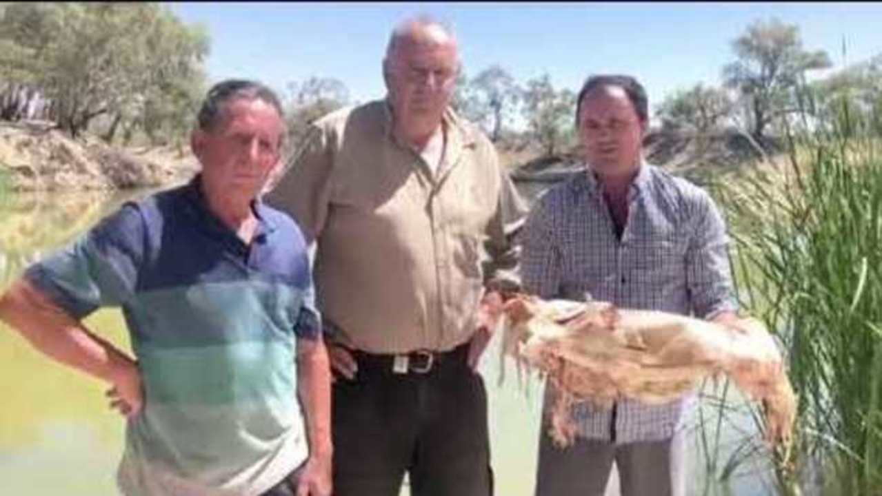 NSW Politician Jeremy Buckingham Retches Repeatedly During Speech on Mass Fish Kill