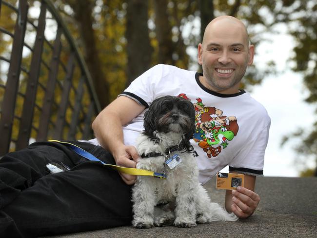 Assistance dogs come in all shapes and sizes