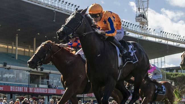 The Moonee Valley Racing Club will honour former sprinting star Imperatriz with a race named in her honour on Cox Plate day. Picture: Getty Images