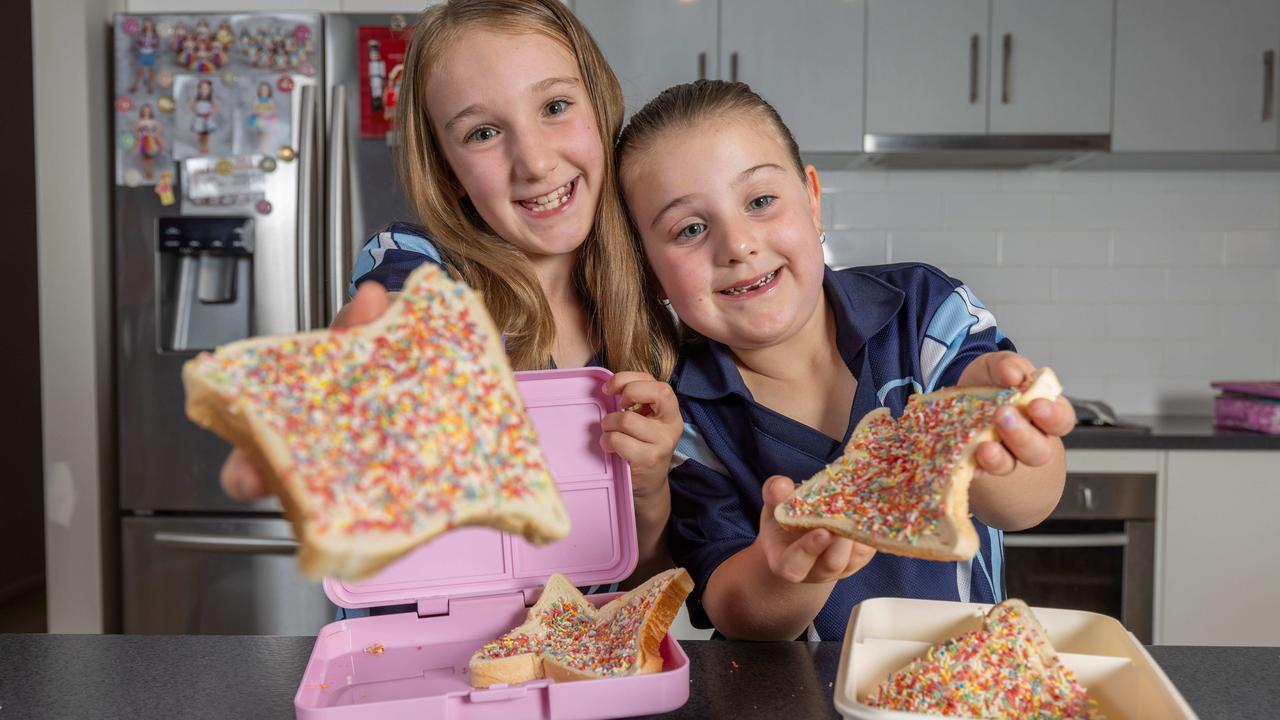 Imogen Fieg, 7 and Elouise Fieg, 5 with Fairy Bread at their house in Woodcroft SA. Picture: Ben Clark