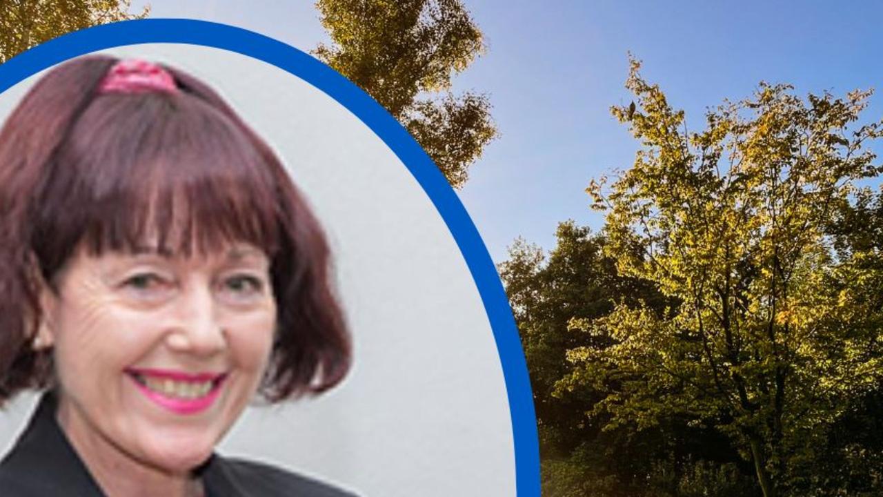 Councillor Kathy Duff said leaving the three Moreton Bay Figs in their current location would do major damage to underground services, new footpaths and shelters at the QEII Park in Murgon.