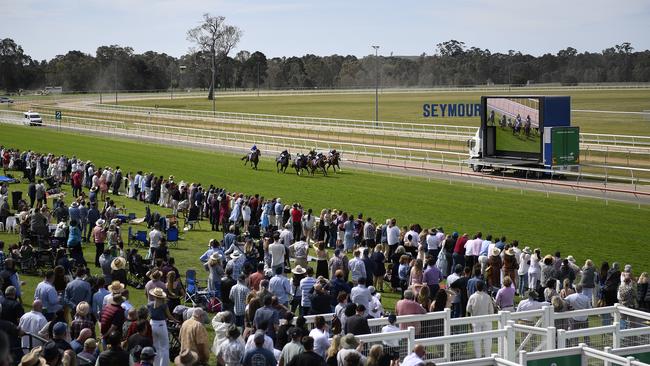 Punters flock to Seymour Cup on October 13, 2024. Picture: Andrew Batsch