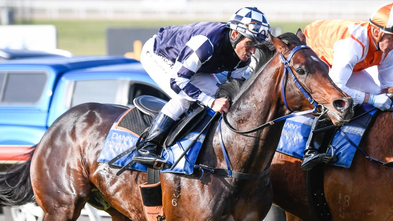 Russian Camelot is one of the standout bets of the day at Caulfield. Picture: Reg Ryan