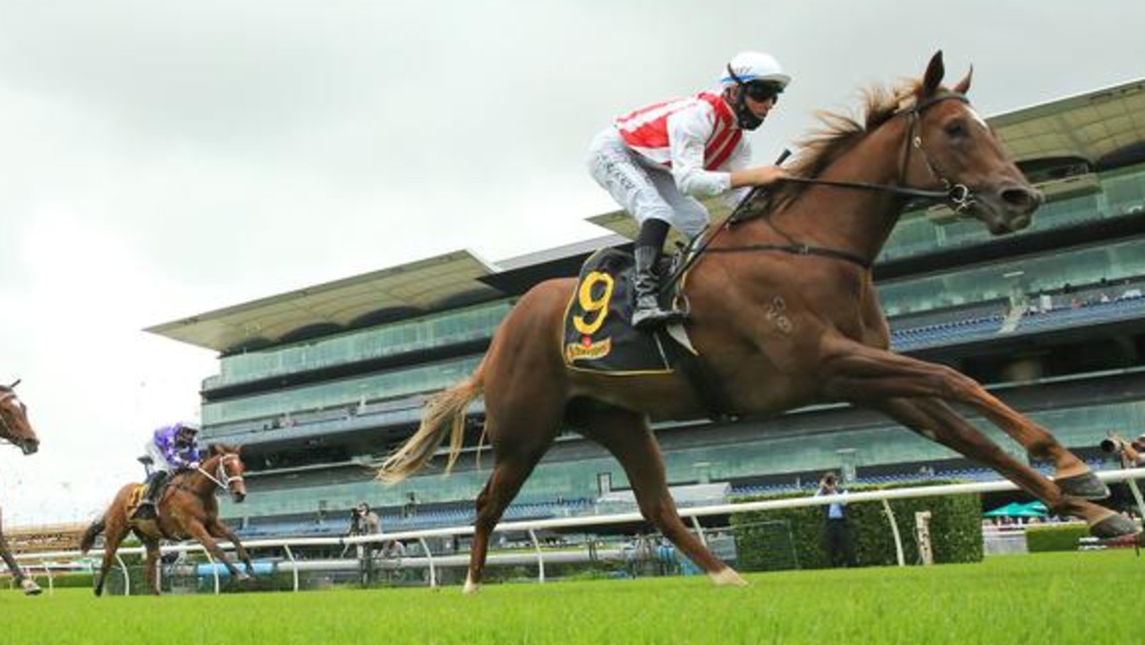 Four Moves Ahead made her first public appearance in 2022 at the Randwick trials. Photo: Mark Evans–Getty Images
