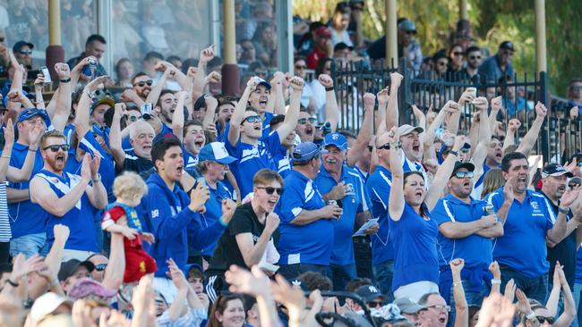 Athelstone fans celebrate during the division two grand final at Thebarton Oval last year. Picture: Brenton Edwards