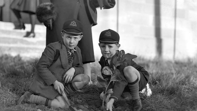 Young students from The Hutchins School, Hobart, planting a tree at the Lady Franklin Gallery in Lenah Valley in August 1940 for the Wattle League. Image from Box 521 of the Mercury Historical Archive