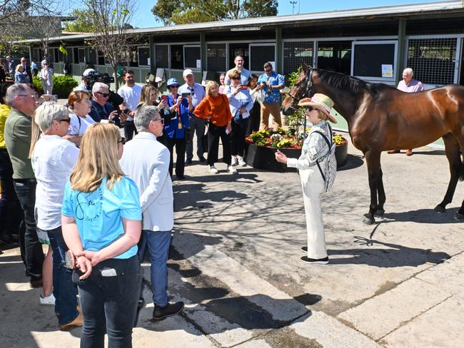 MELBOURNE, AUSTRALIA - SEPTEMBER 24: Trainer Gai Waterhouse shows off yesterdays Underwood Stakes winner Alligator Blood during the Flemington stables tour ahead of Melbourne Racing at Flemington Racecourse on September 24, 2023 in Melbourne, Australia. (Photo by Vince Caligiuri/Getty Images)