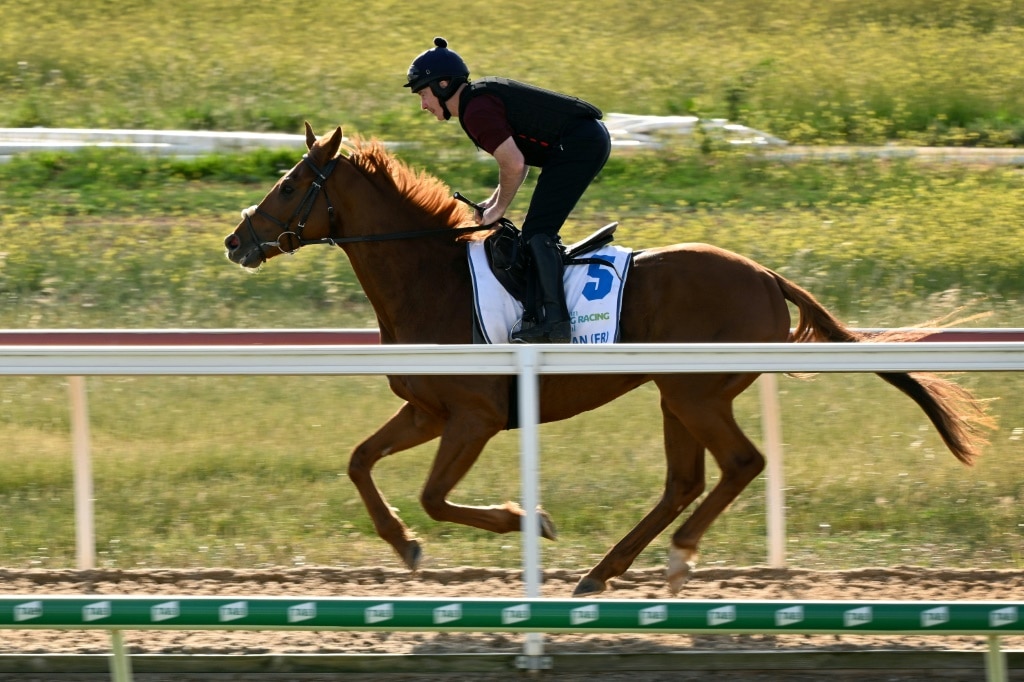 Vauban Tipped For Melbourne Cup Glory As Gold Trip Targets Another Win ...