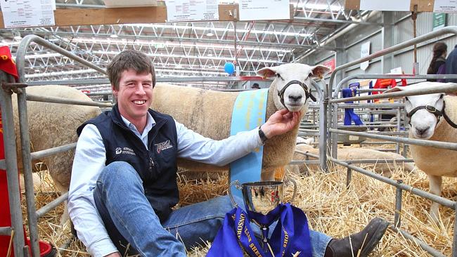 Supreme Texel exhibit at Australian Sheep and Wool Show at Bendigo was ...