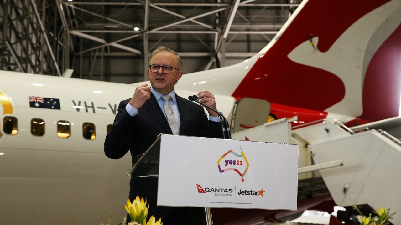 ‘Why are we protecting Qantas?’: Flying kangaroo not a ‘national’ airline