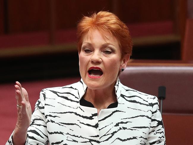 Senator Pauline Hanson said Mr Anning’s speech went “too far”. Picture: Kym Smith