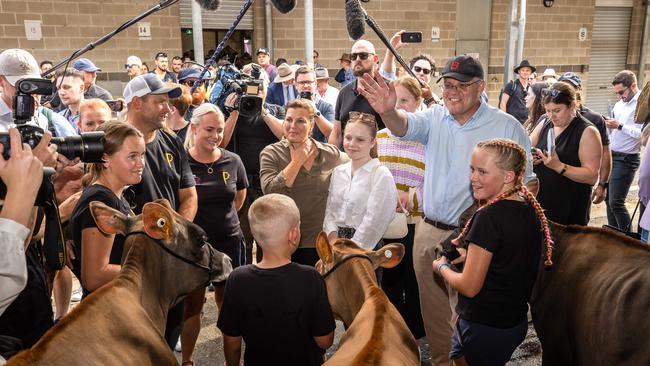 The Morrisons meeting some cows. Picture: Jason Edwards