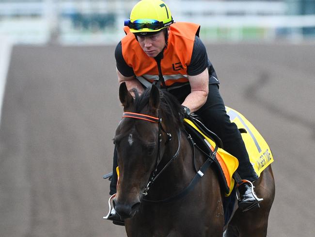 In Her Time of Australia is seen during a trackwork session at Sha Tin Racecourse in Hong Kong, Thursday, December 5, 2019.Hong Kong will host the Turf World Championships on Sunday. (AAP Image/Vince Caligiuri) NO ARCHIVING