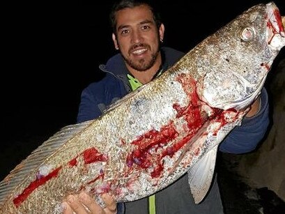 Mark Coleman, a fisherman in fine form, says fishing is the best it has been in the Tweed River for years.