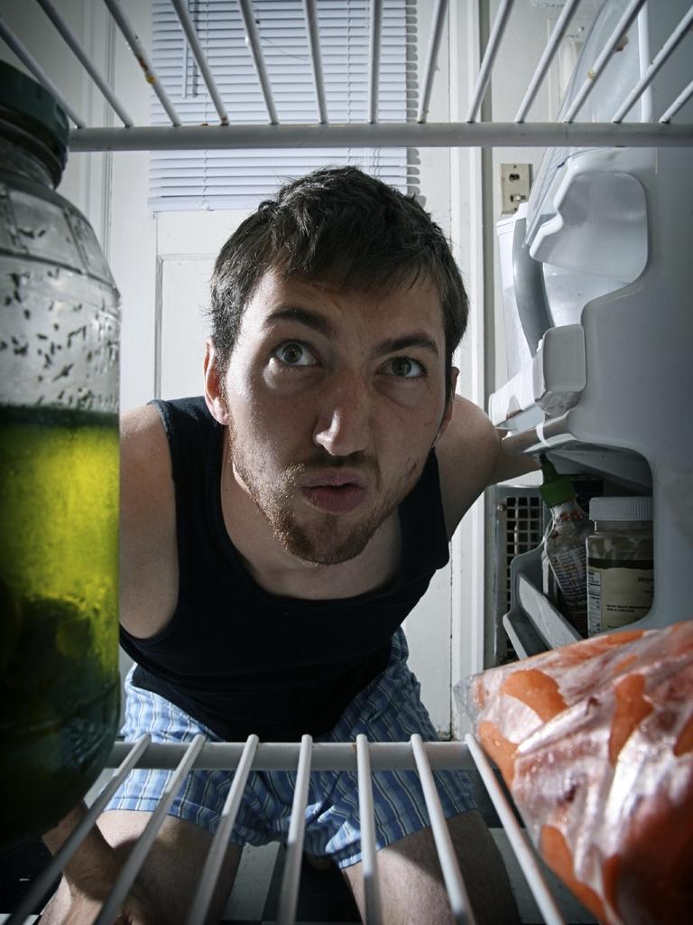 Imagine my shock (or his) when the fridge door opened. Picture: iStock