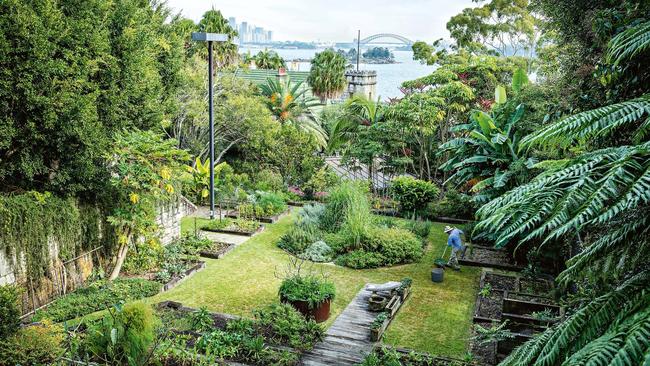 Oasis: Hemmes’ garden in exclusive Vaucluse. Picture: Jason Busch