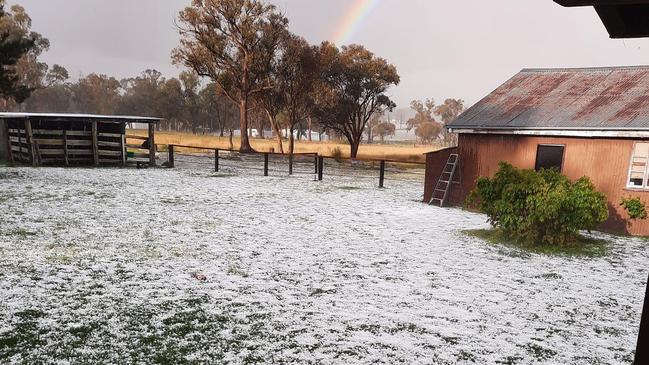 Huge ‘tennis-ball sized’ hail hits Southern Downs