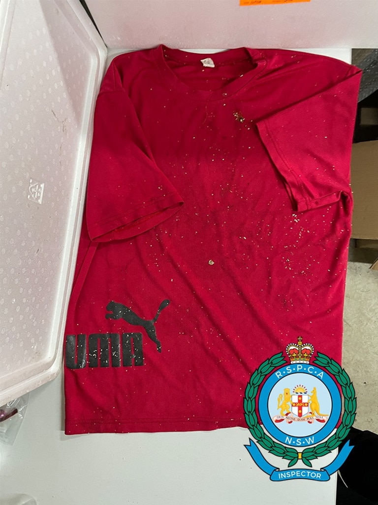 A red Puma-branded T-shirt was also in the Esky. Picture: RSPCA NSW