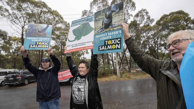 Protesters outside the Tassal processing facility during Prime Minister Anthony Albanese's visit at Barretta. Picture: Chris Kidd