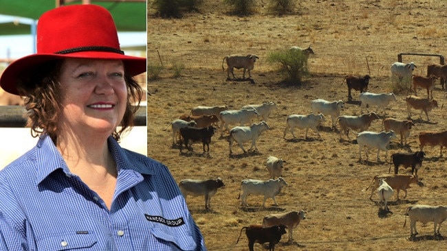 Page 13: Gina Rinehart Proud Owner Legendary Kidman Cattle Empire 