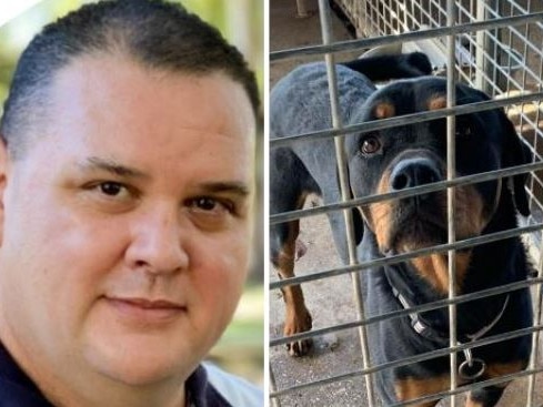 Animal Welfare League of Queensland spokesman Craig Montgomery said people needing to surrender their pet due to accommodation reasons had increased from 19 per cent to 27 per cent in the past two years