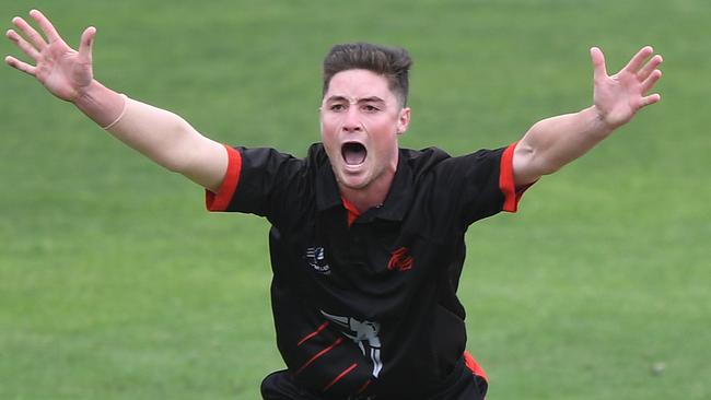 Connor Rutland appeals for a wicket. Picture: Julian Smith