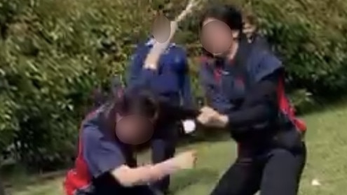 Students fighting at Dandenong High School