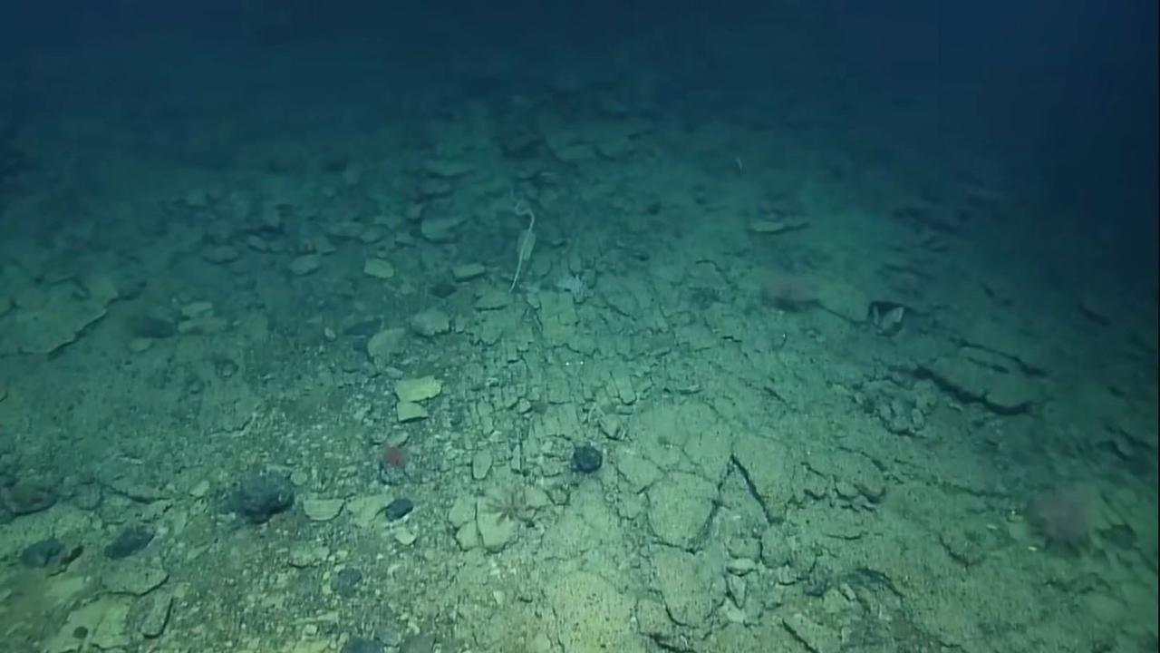 The researchers labelled it the ‘road to Atlantis’. Picture: YouTube/EVNautilus