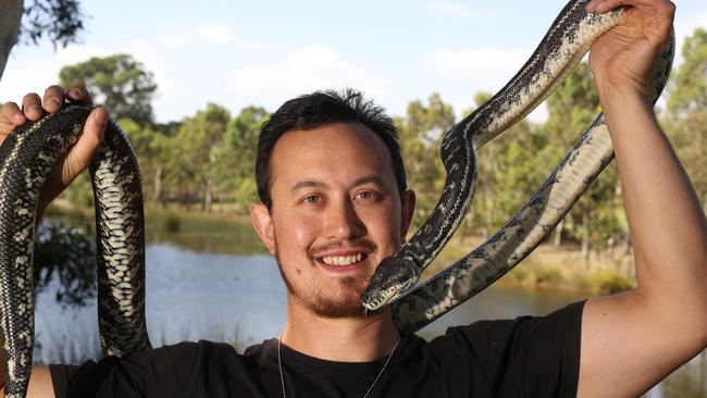 Fearless snake hunter Mark Pelley has been keeping people and pets safe by catching the reptiles across Melbourne’s northeast for seven years. Picture: Stuart Milligan