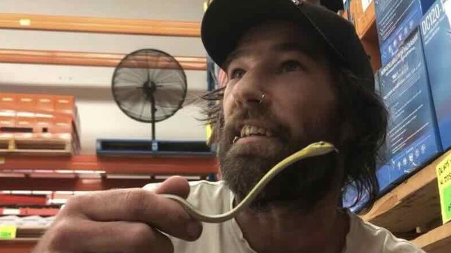 Snake catcher Drew Godfrey with a tree python in Bunnings