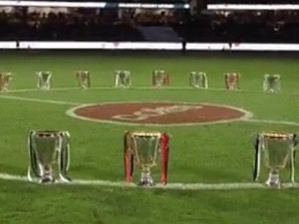 Carlton and Essendon's premiership cups.