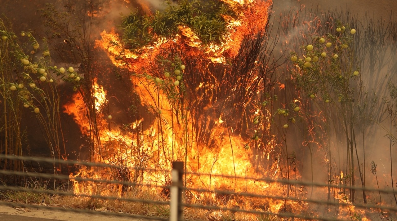 Bushfire Royal Commission hears first witness