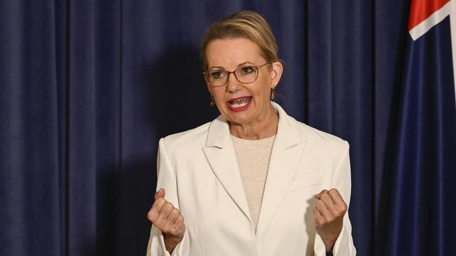 Sussan Ley has reportedly been given the nod to repair the coalition with the Nationals, following the political fallout. Picture: NewsWire / Martin Ollman