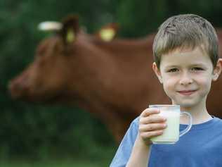 drinking milk. Picture: Monika Adamczyk