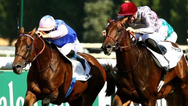 Tiberian (pink/blue) was sired by Tiberius Caesar.