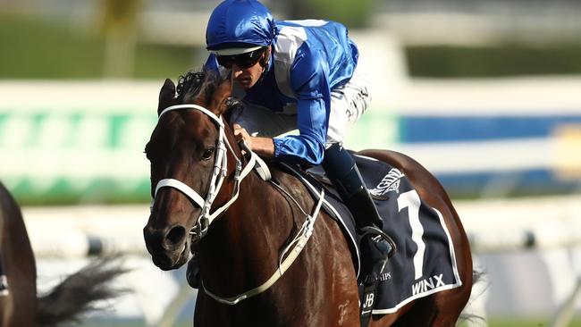 Winx storms down the Flemington straight to win the Queen Elizabeth Stakes.(Photo by Mark Metcalfe/Getty Images)