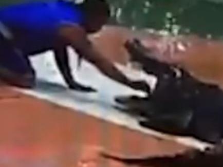Croc death roll snaps man’s arm
