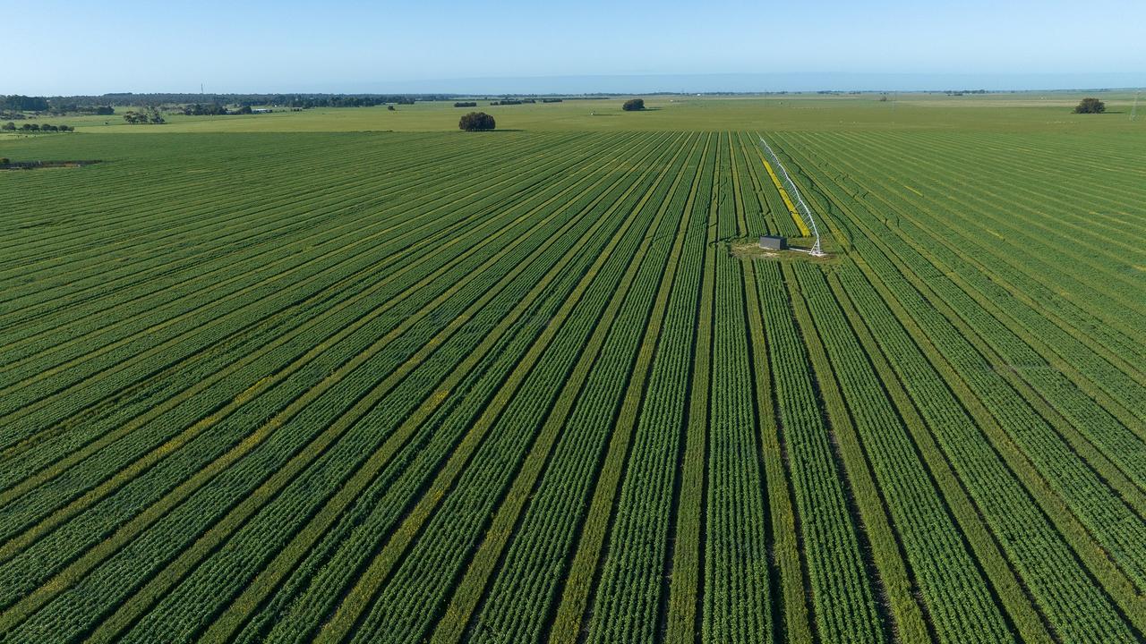 The expansive property is used to grow cereal, beans and canola. Picture: Supplied by TDC Livestock & Property