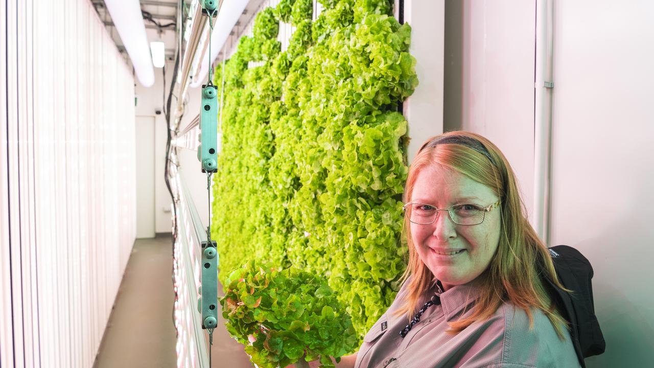 SEW GOOD: TAFE horticulture student Teresa Storey-Higgins in the grow pod at the Rural Centre of Excellence with lettuce grown in a joint research and development project between Yalara Hydrogardens, TSBE and TAFE Queensland. Picture: Kevin Farmer