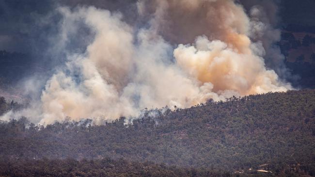 The grass fire risk is expected to continue through to next year’s summer season, which could be made worse if La Nina conditions make way for a dry El Nino event. NCA NewsWire / Tony McDonough