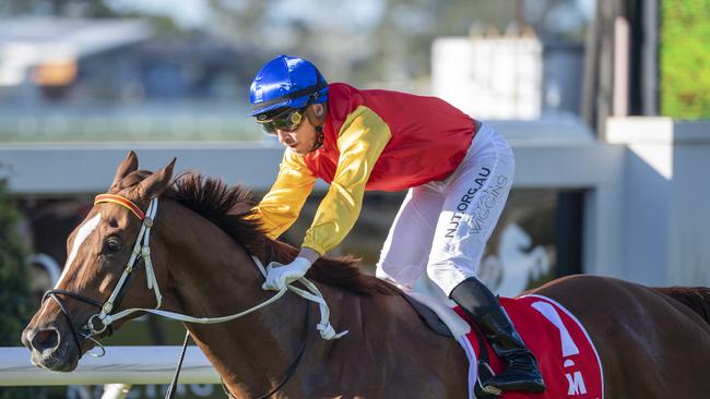 Jockey Ryan Wiggins rides Inquiry to victory in race 7, the Mittys Spear Chief Handicap, during Doomben Race Day at Doomben Racecourse in Brisbane, Saturday, June 27, 2020. (AAP Image/Supplied by Michael McInally, Racing Queensland)