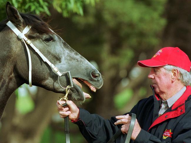 29/10/2001. trainer Tommy Hughes Snr with his Derby hope Grey Song at Flemington. racing.