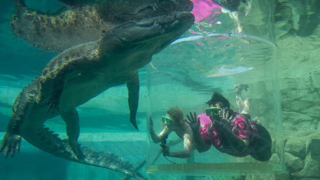 BreastScreen NT representative Natalie Stokes and Breast cancer survivor Belinda Kolstad entering the cage of death at the Crocosaurus Cove, Darwin. Picture: Pema Tamang Pakhrin