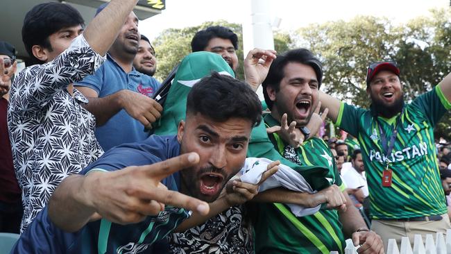 The team now believes as much as the fans. Photo by Sarah Reed/Getty Images