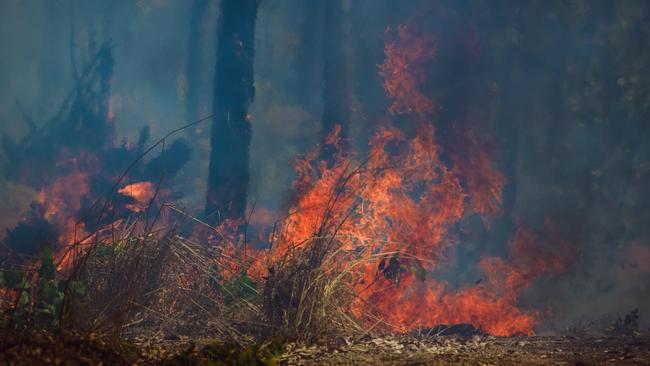 Parts of McMillans Rd is closed due to a scrub fire. Picture: GLENN CAMPBELL