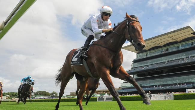 Farnan will kick-off his spring campaign in the Run To The Rose at Rosehill Gardens. Picture: AAP