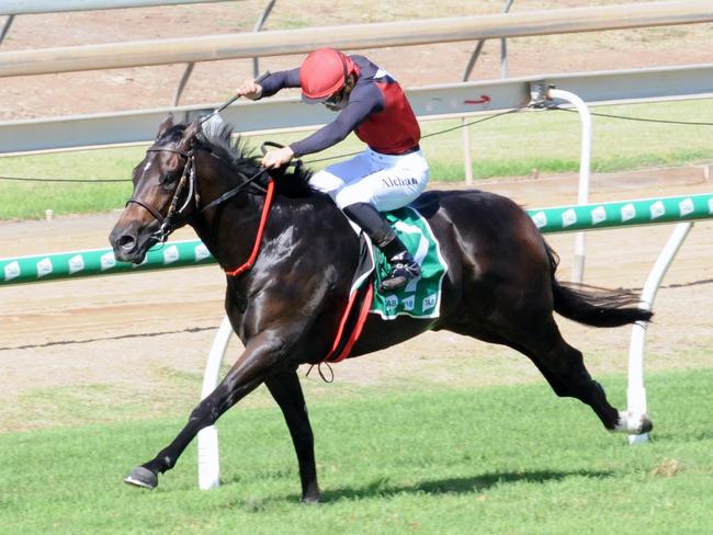 Firebox ridden by Allan Chau for trainer Michael Costa at Ipswich races. Picture: Claire Power