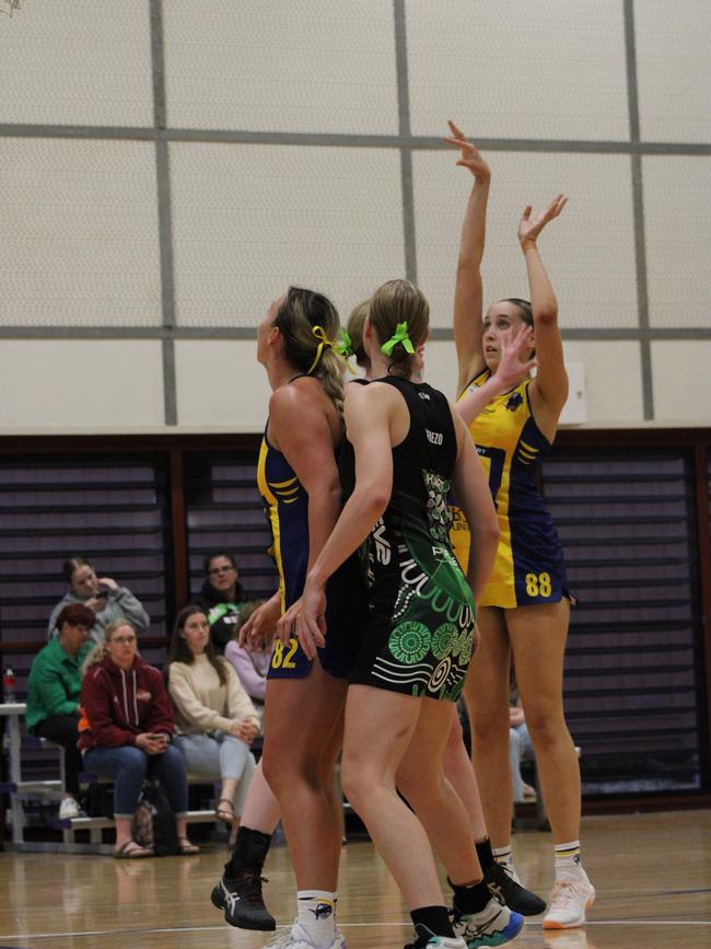 HART Sapphire Series round 1 2024 (Ruby league) Darling Downs Panthers v Bond University Bull Sharks Netball