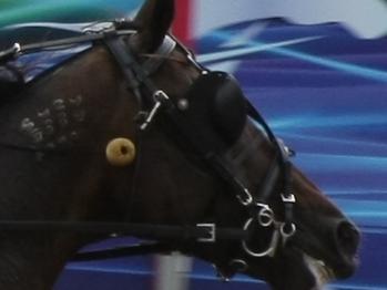 2014 Inter Dominion, Tabcorp Park Menangle