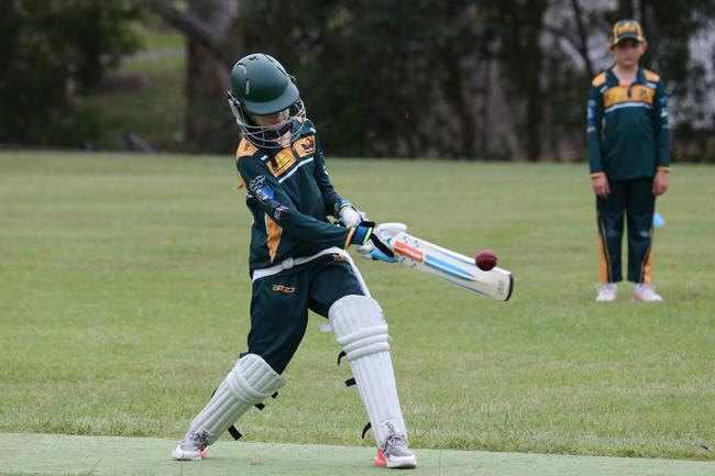 74 pics: Gold Coast Cricket, Div 2 finals Palm Beach, Surfers Paradise ...